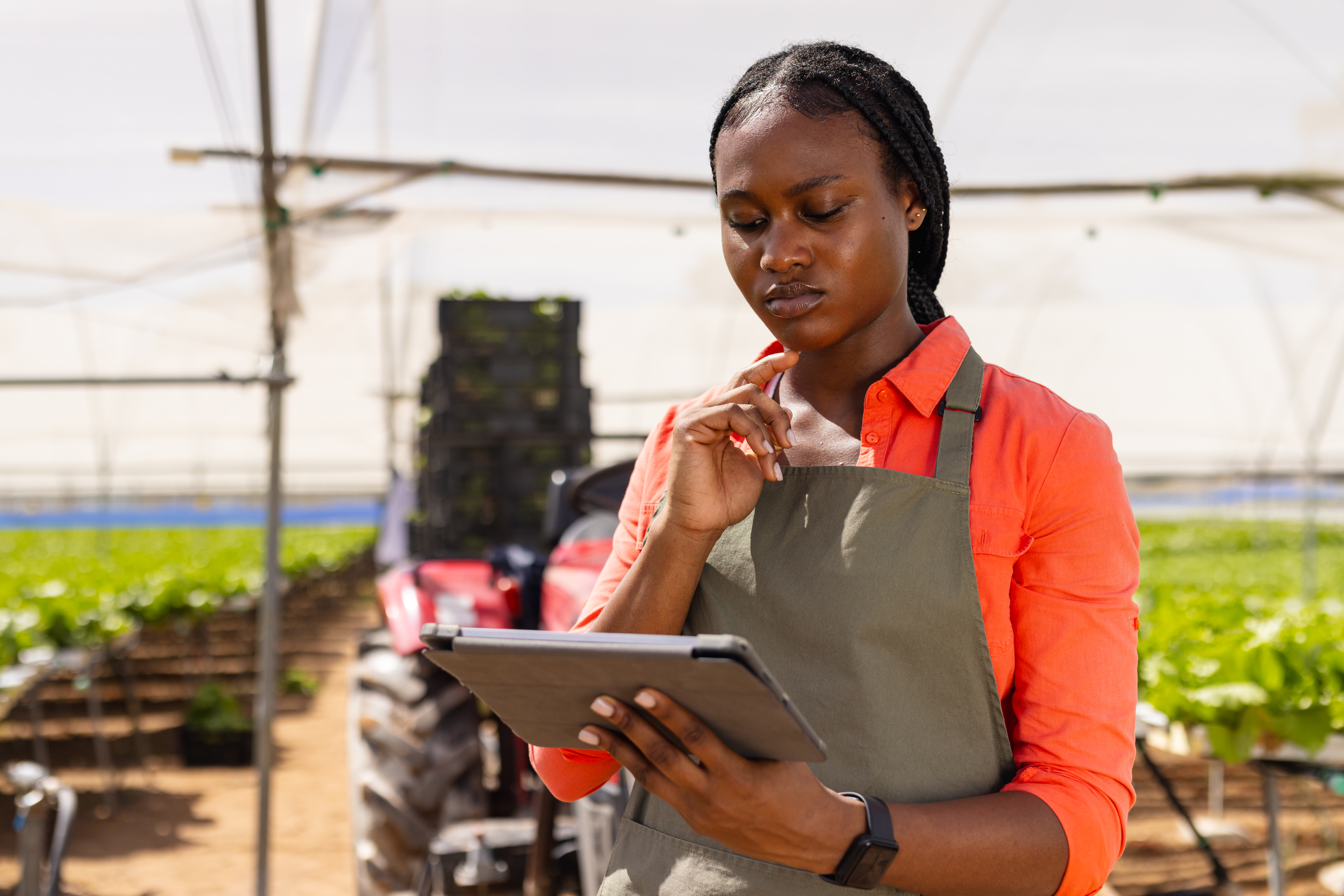 Agribusiness