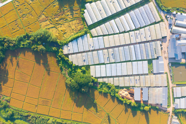 Land Economy