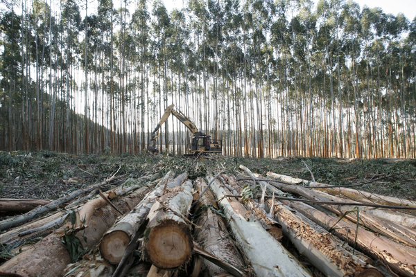 Forest Resources Technology